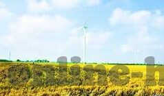 果冻传媒视频免费-探索果冻传媒视频的魅力，免费内容带来的惊喜